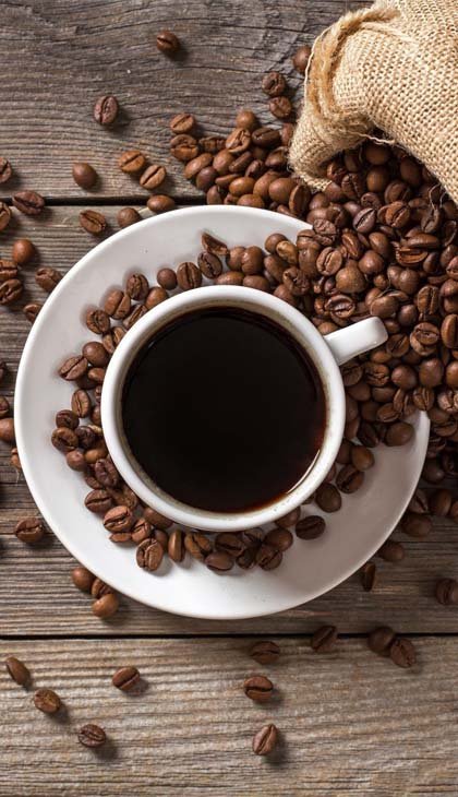 Coffee Brewer Repair